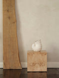 Load image into Gallery viewer, Shell vase