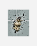 Load image into Gallery viewer, Salt, Mushrooms