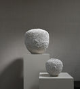 Load image into Gallery viewer, Sunao Vase, Petit - Beehive
