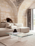 Load image into Gallery viewer, Mineral Coffee Table