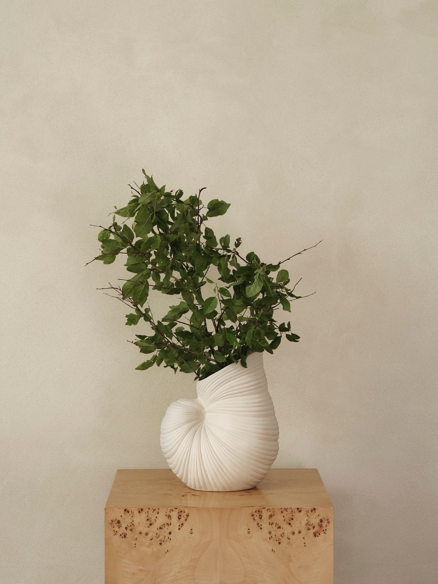 Shell vase