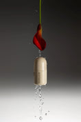 Load image into Gallery viewer, Deodorant Chamomille & sea buckthorn