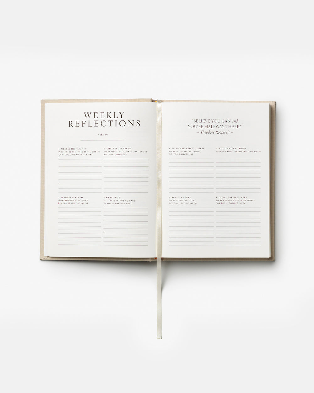 Wellness journal