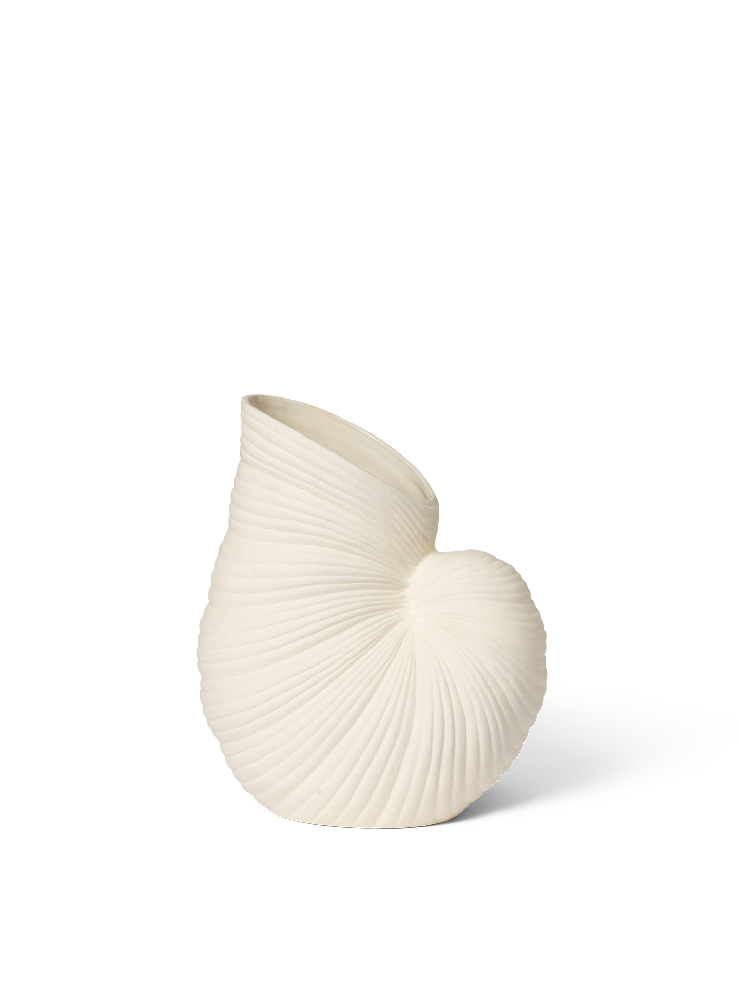 Shell vase
