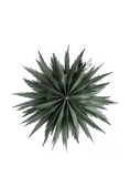 Load image into Gallery viewer, Adventsstjärna grön  Ø50 cm