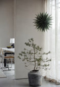 Load image into Gallery viewer, Adventsstjärna grön  Ø50 cm