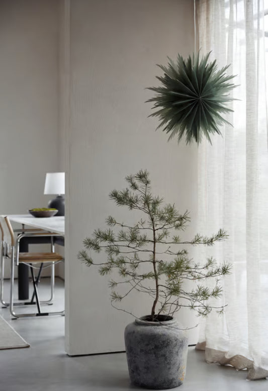 Adventsstjärna grön  Ø50 cm