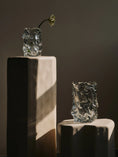 Load image into Gallery viewer, Virelle Vase - H24 - Clear