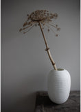 Load image into Gallery viewer, Organic vase high ( skickas ej)