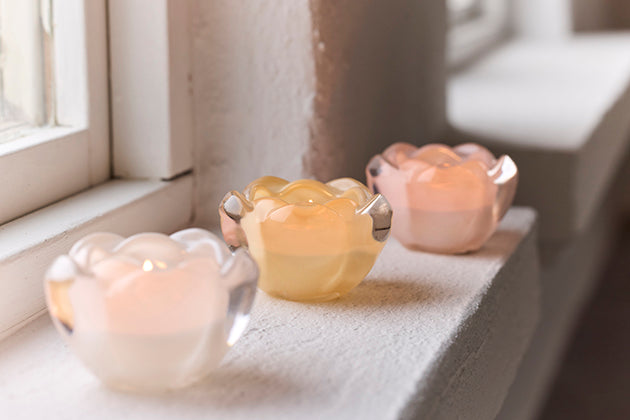 Ljuslykta tulpan Vit