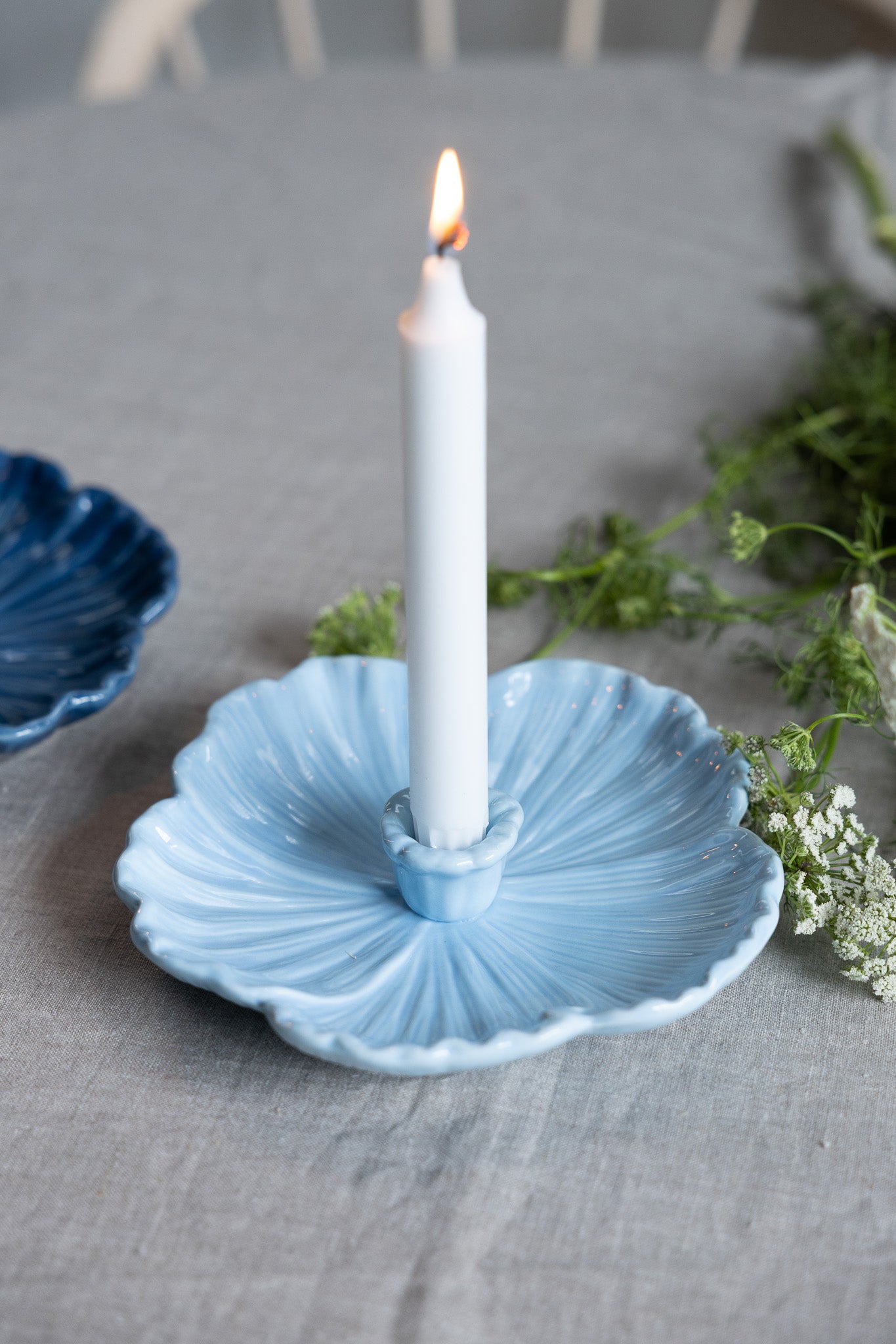 BOTANIK
Stor ljusblå ljusstake