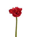 Load image into Gallery viewer, Amaryllis Real Touch Röd
