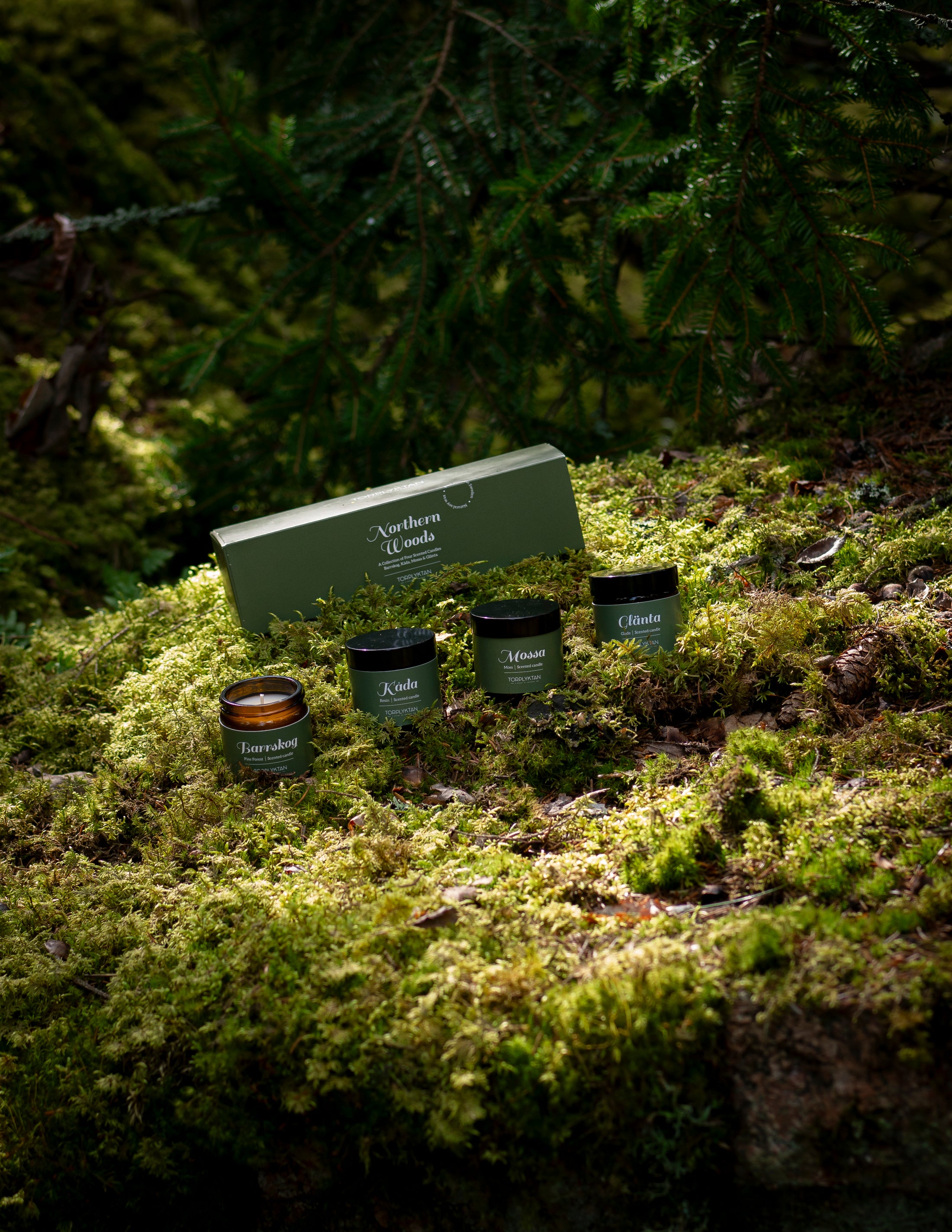 Northern woods doftljus 4-pack