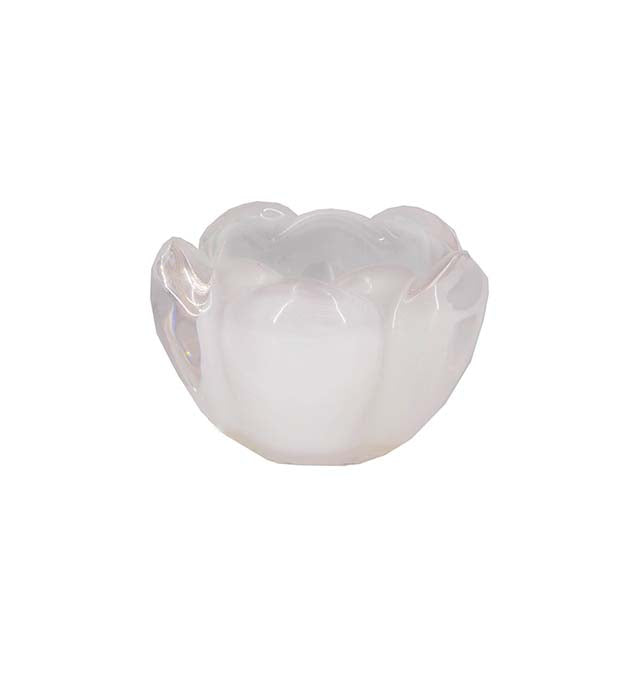 Ljuslykta tulpan Vit