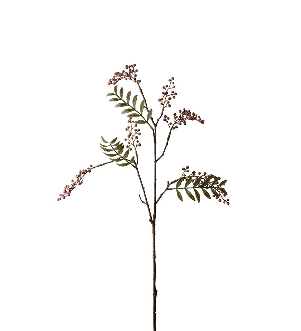 Kvist med röda bär och grönt