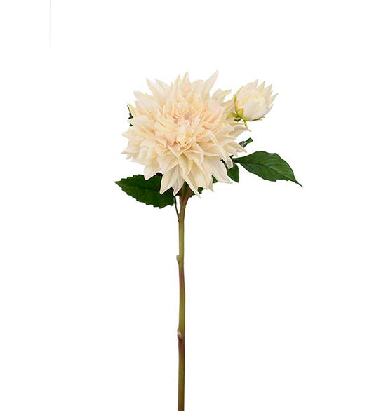 Dahlia creme 70 cm real touch