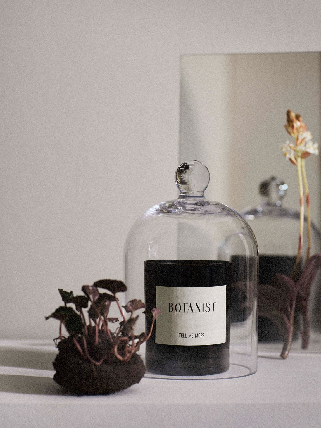 Scented candle - Botanist