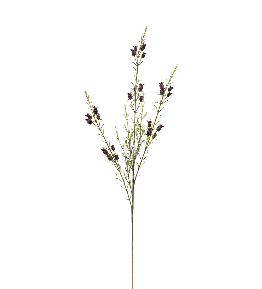 Calluna 63 Cm