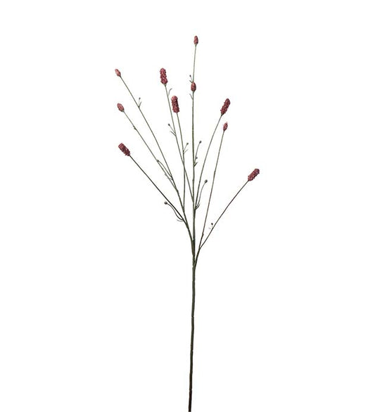 Pimpinell Burgundy 80 cm