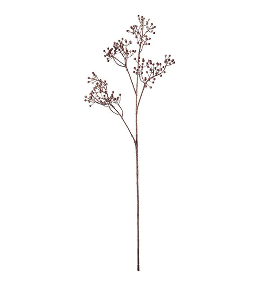 Bärkvist natur