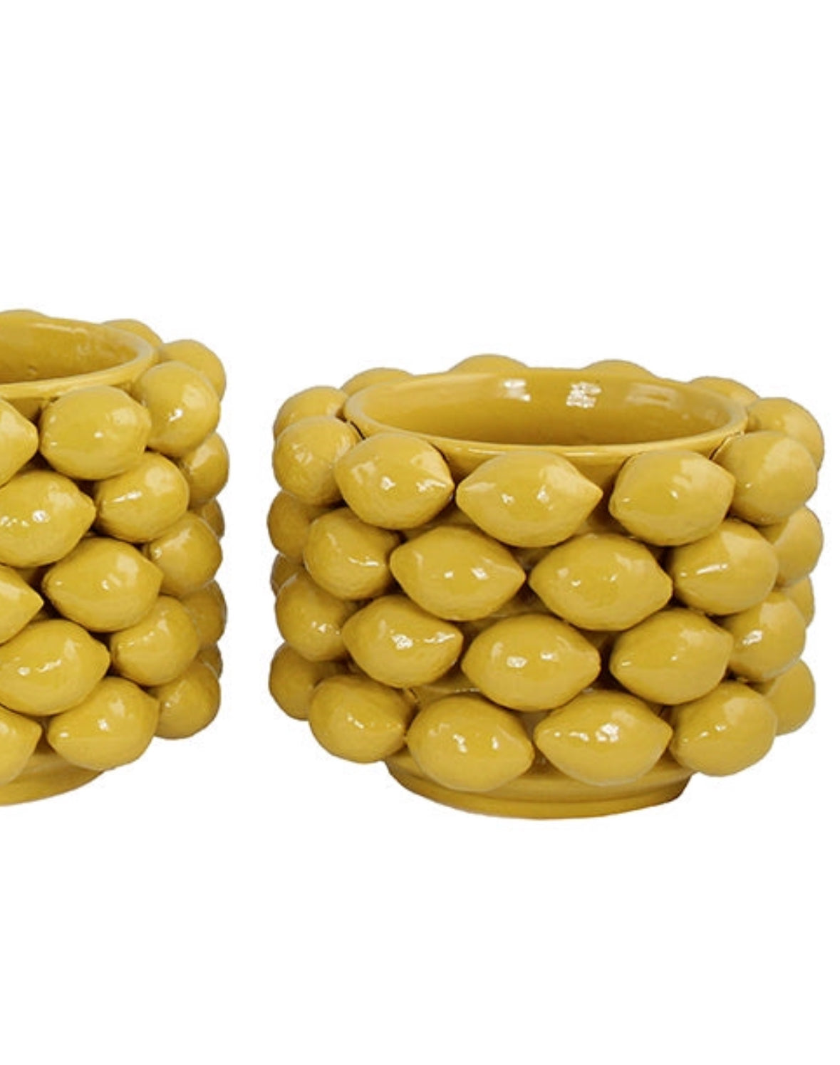 Citron kruka S ( Hämtas i butik)