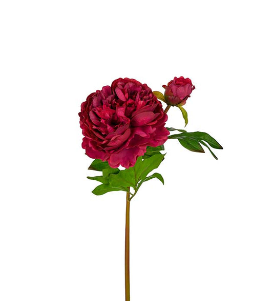 Pion Burgundy 65 cm Real Touch
