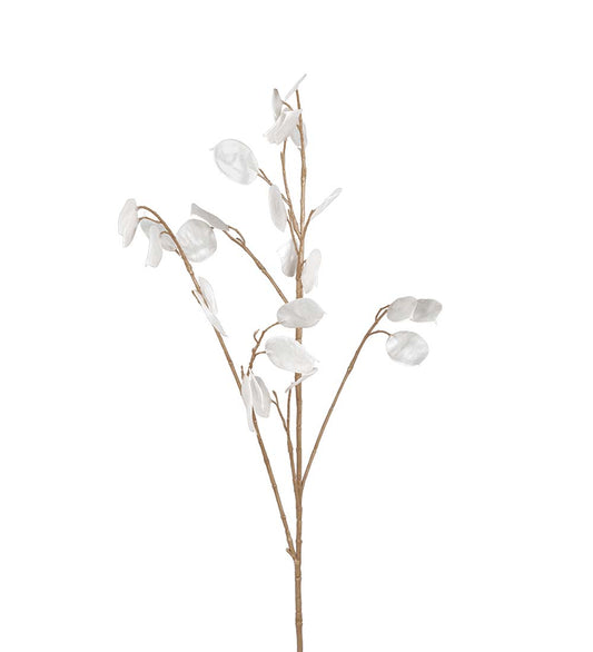 Lunaria 90 Cm