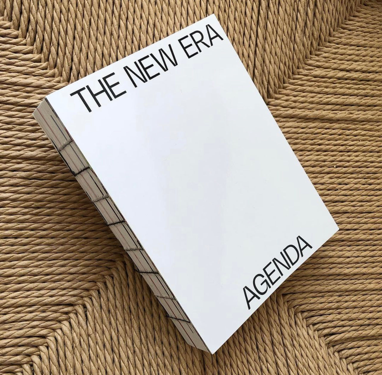 The New Era Agenda bok