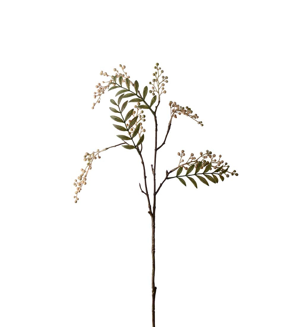 Bärkvist vit med grönt