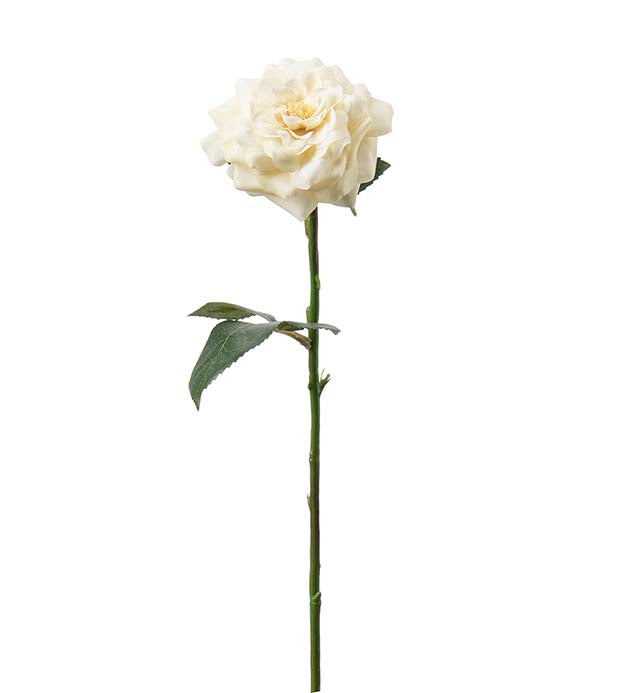 Ros creme 41 cm