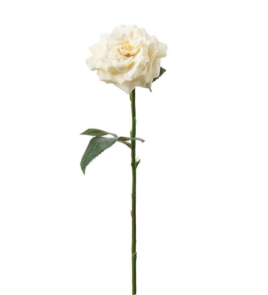 Ros creme 41 cm