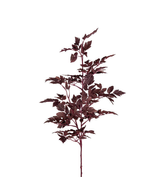 Silveraxkvist 115cm