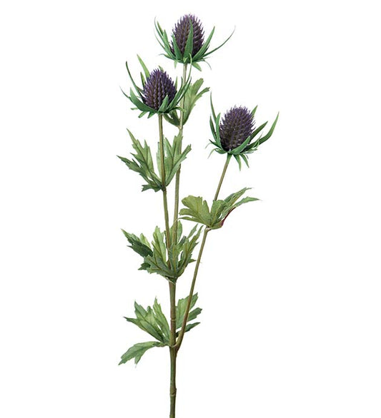 Tistel blå 60 cm