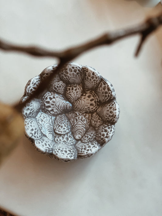Bowl oyster