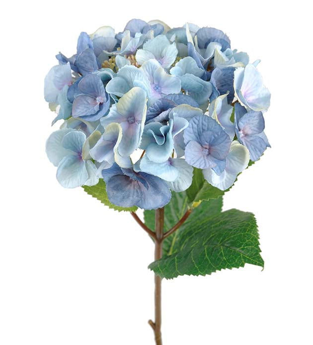 Hortensia 45 cm