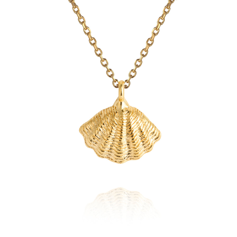 CS MIRA SHELL NECKLACE / GOLD