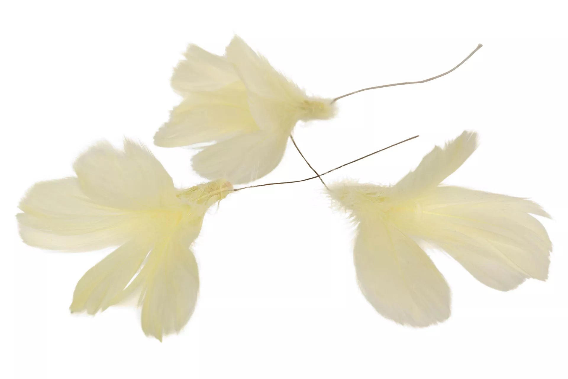 fjädrar gul pastell 12 p