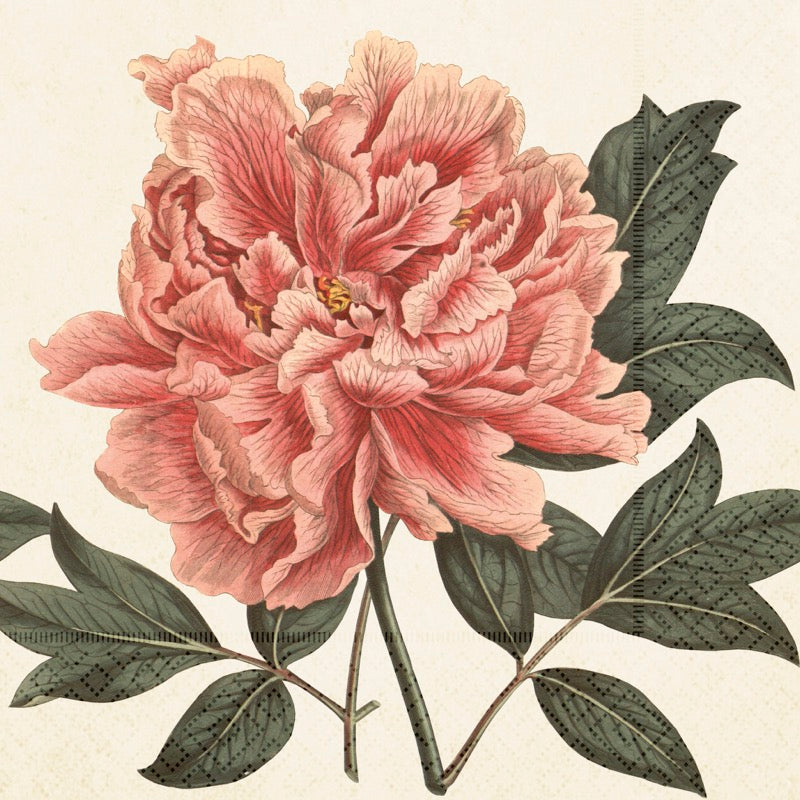 Servett pion rosa Strax i lager