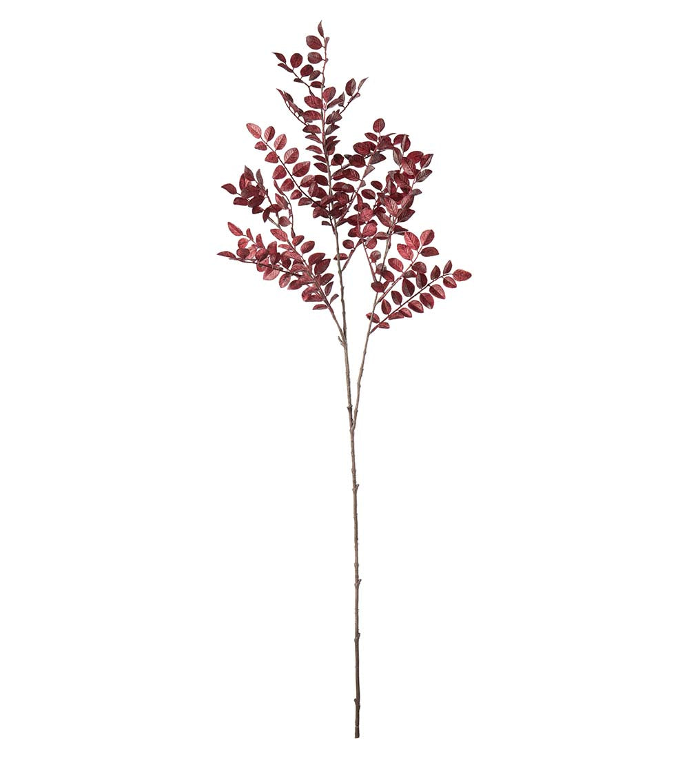 Ruscus vinröd 95 cm