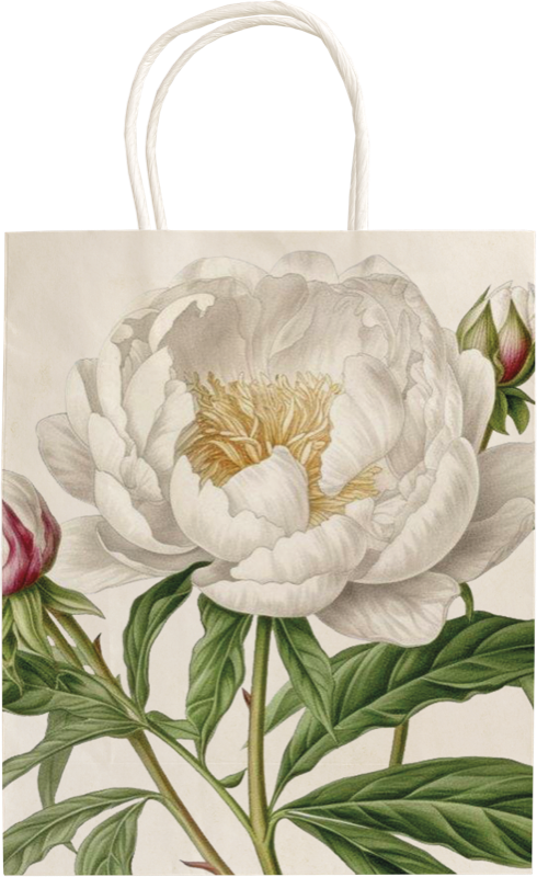 Presentpåse pion Strax i lager