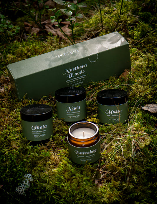 Northern woods doftljus 4-pack