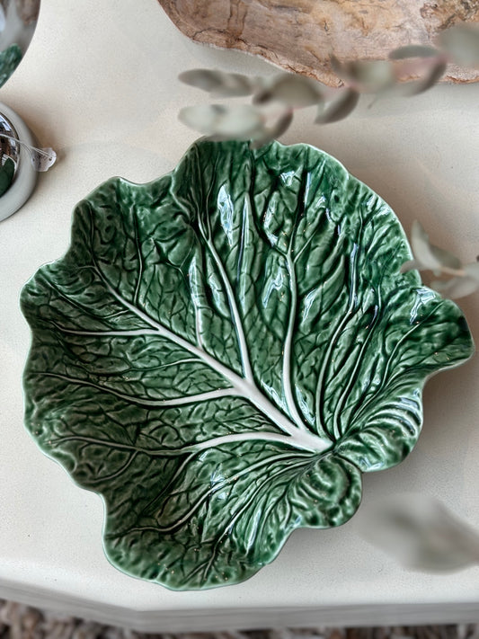 Cabbage Saladeira – Medium