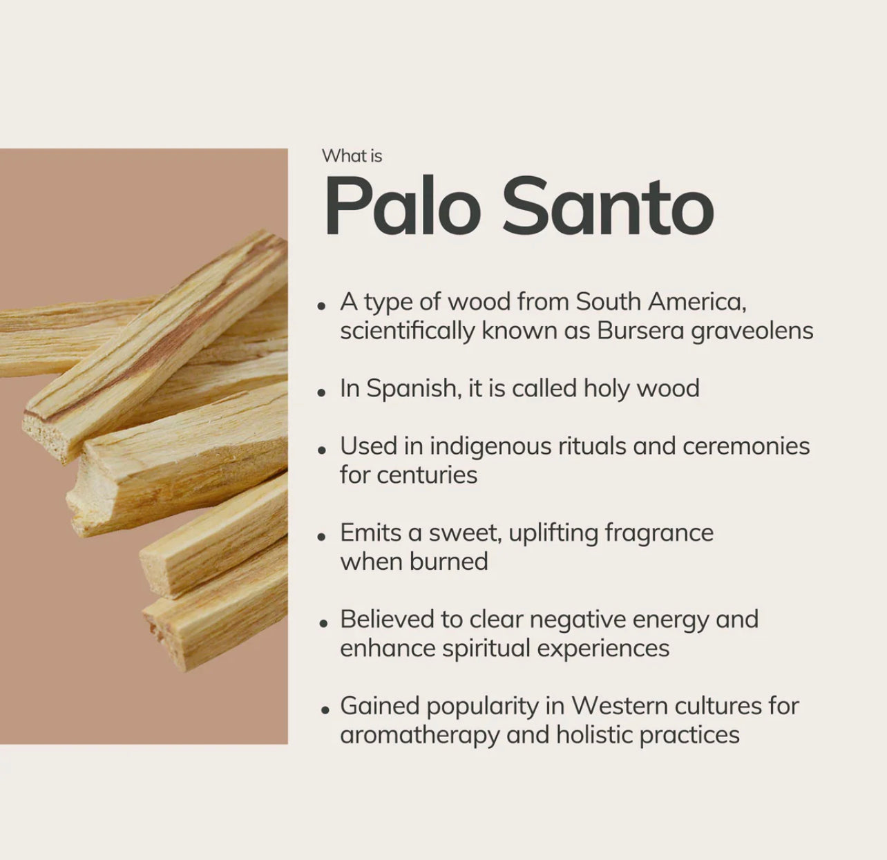 Palo Santo handgjord rökelse-kon 20 st