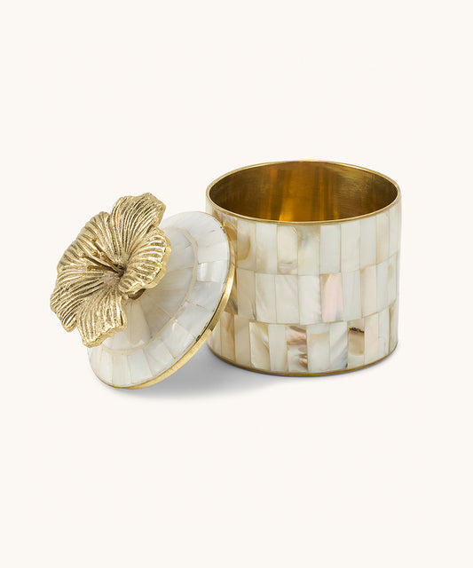 Hailey Hibiscus Circus Box OBS SKÖNHETSFEL