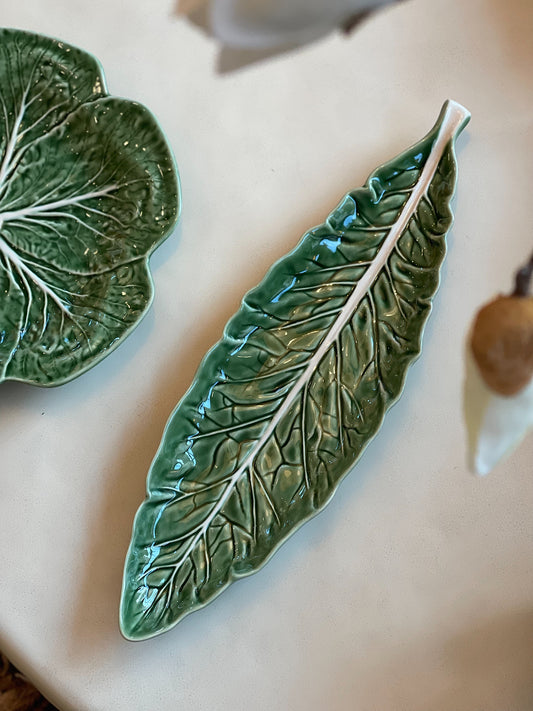Cabbage leaf