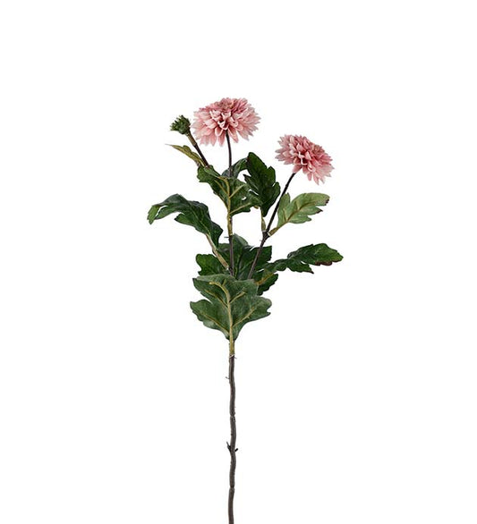 Chrysantemum rosa 53 cm