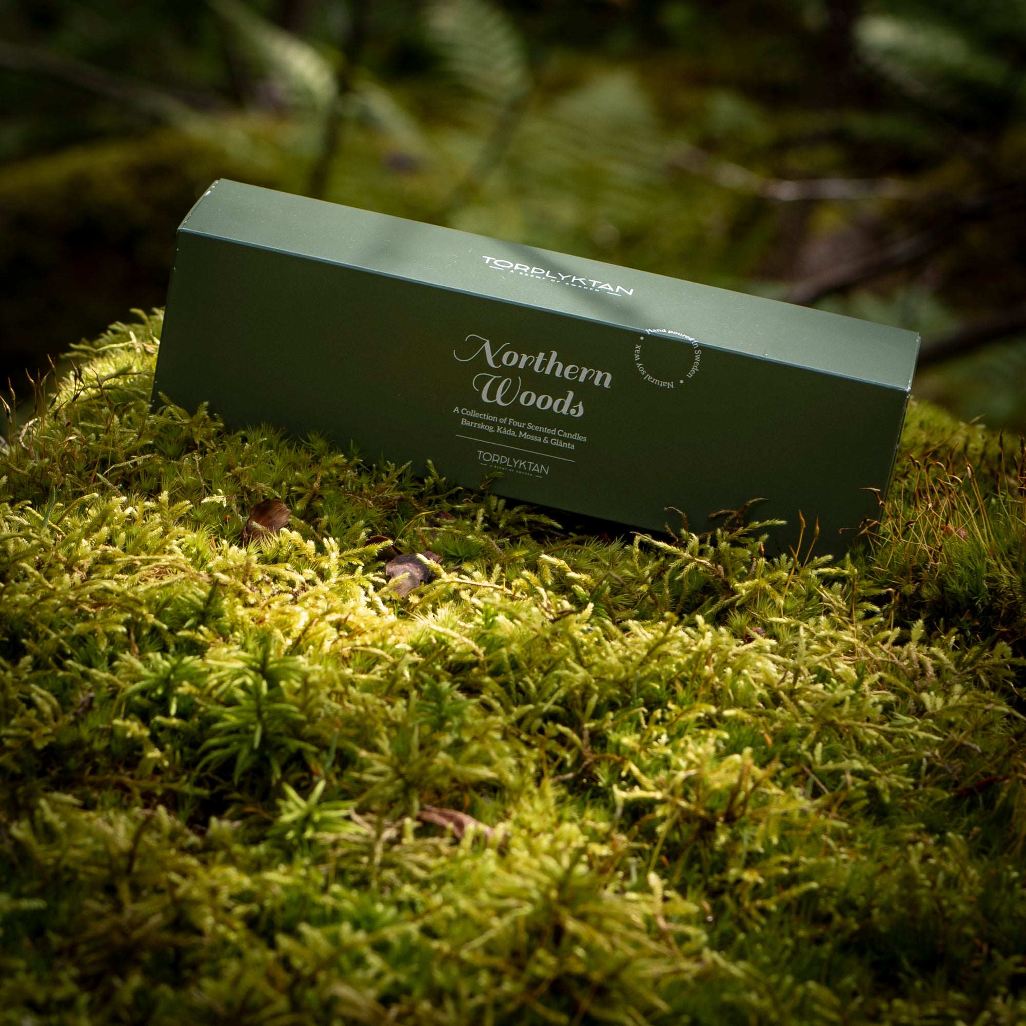 Northern woods doftljus 4-pack