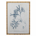 Load image into Gallery viewer, Sumner Illustration w/ Frame, Nature, Firwood
