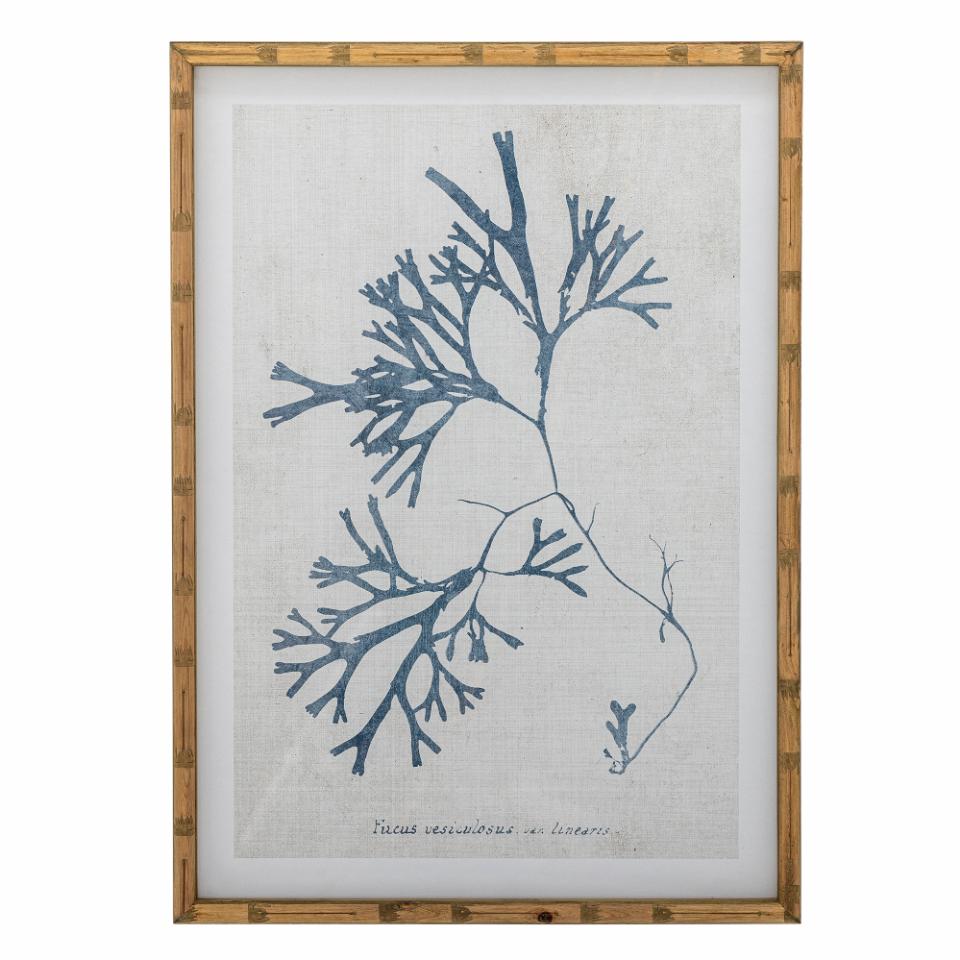 Sumner Illustration w/ Frame, Nature, Firwood