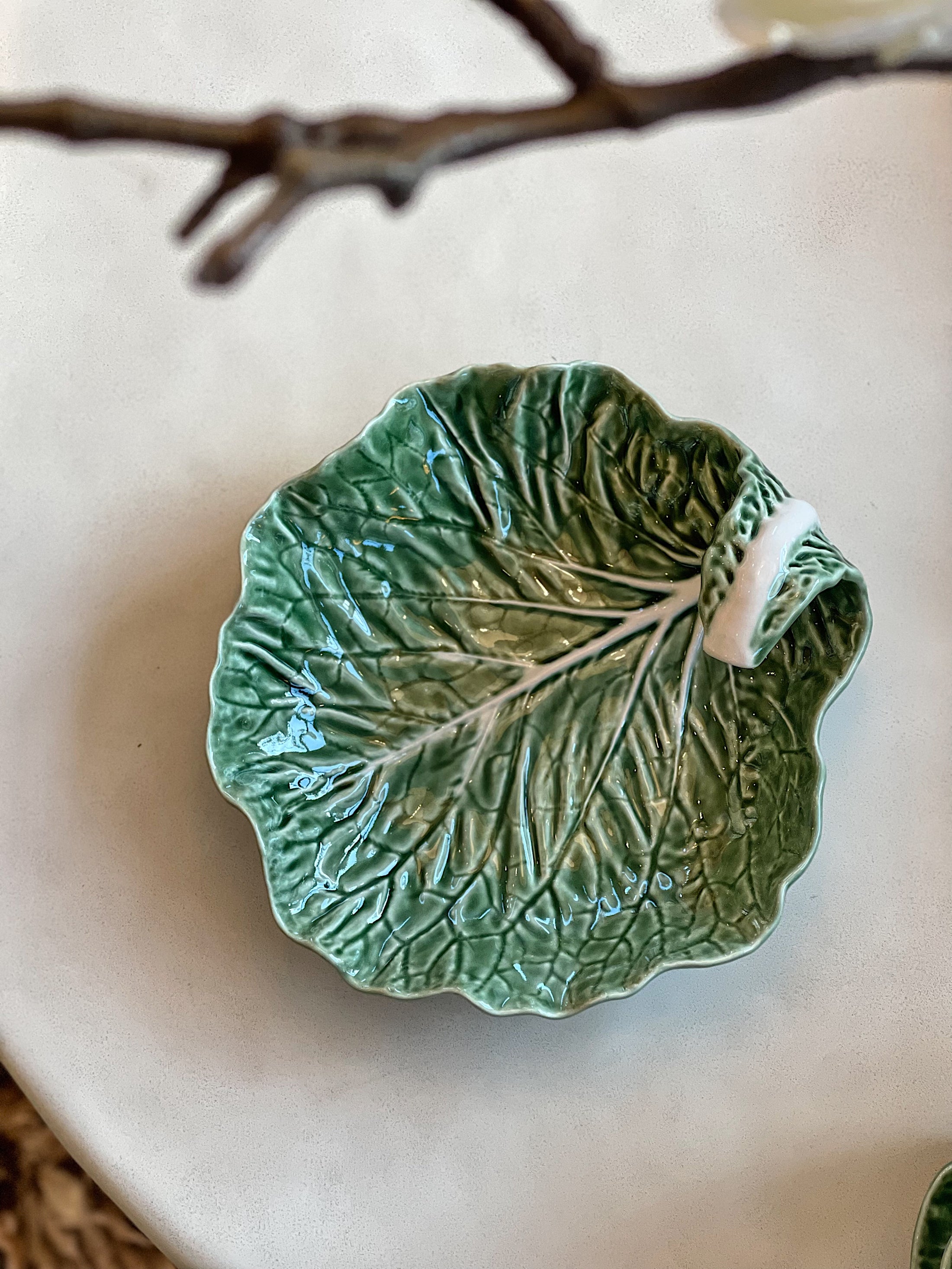 Cabbage löv med kurvatur L